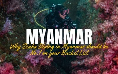 Why Scuba Diving in Myanmar should be No.1 on your Bucket List