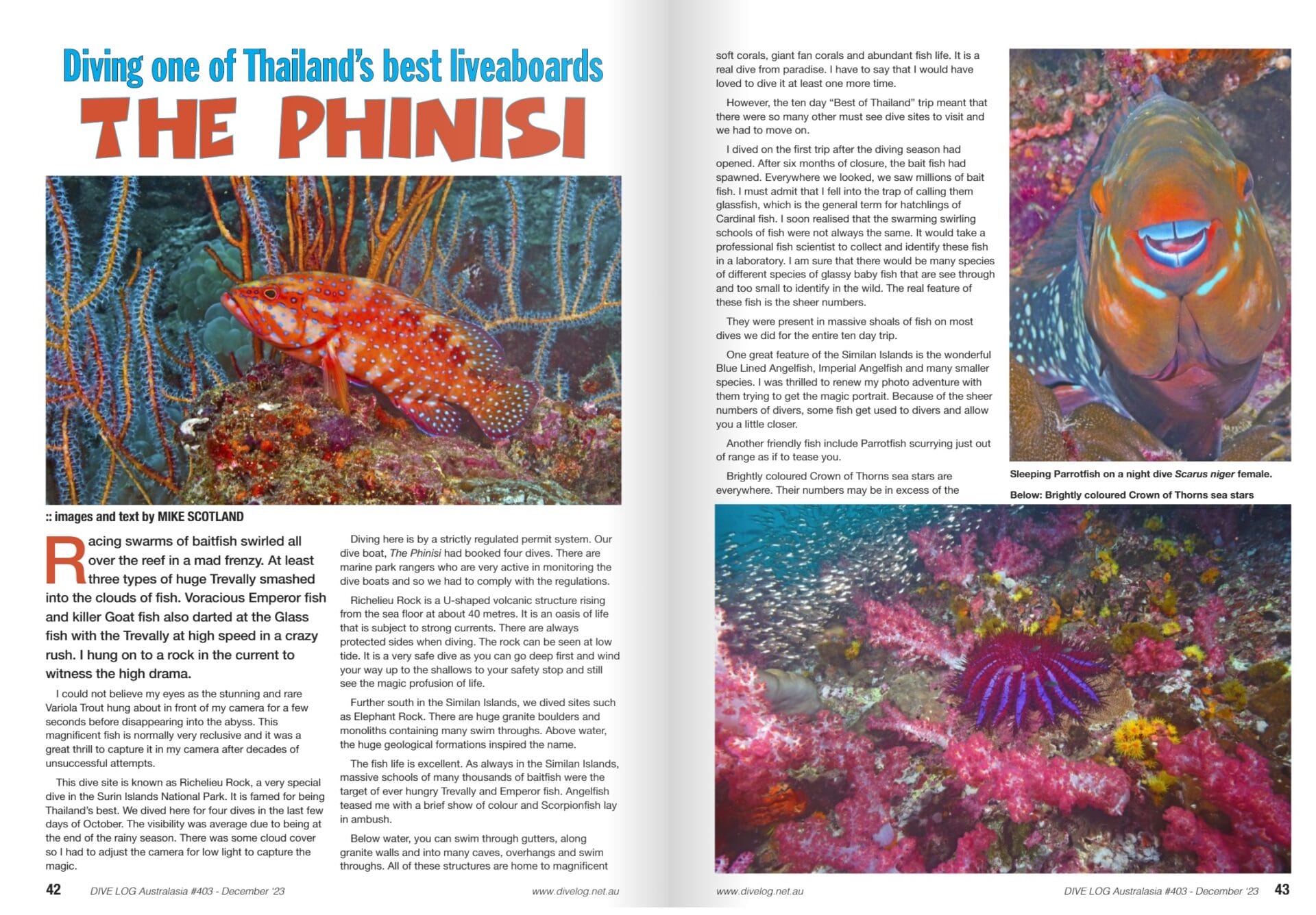 Divelog Australia - The Phinisi (Part 1) December 2023