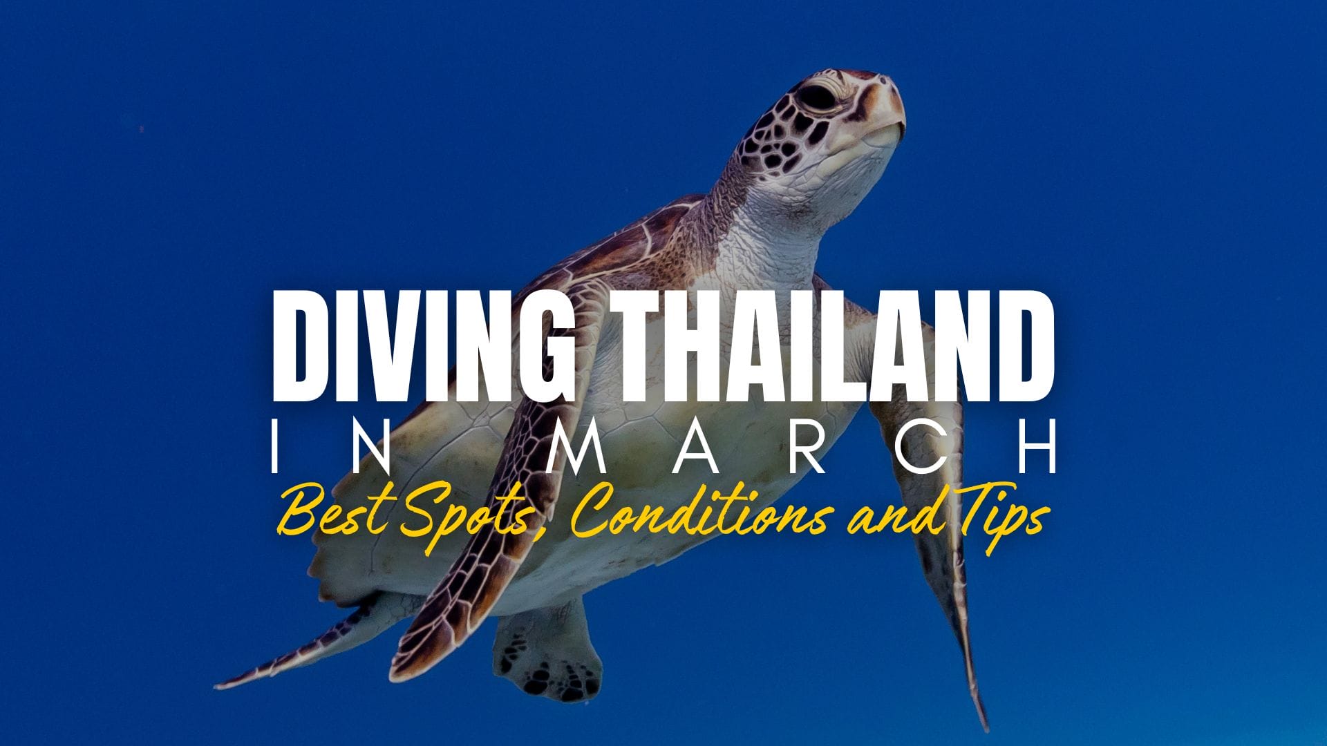 Diving Thailand in March